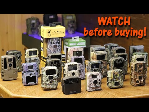 Trail Cameras: Hvad de er, hvordan de virker, tekniske detaljer og brugssager